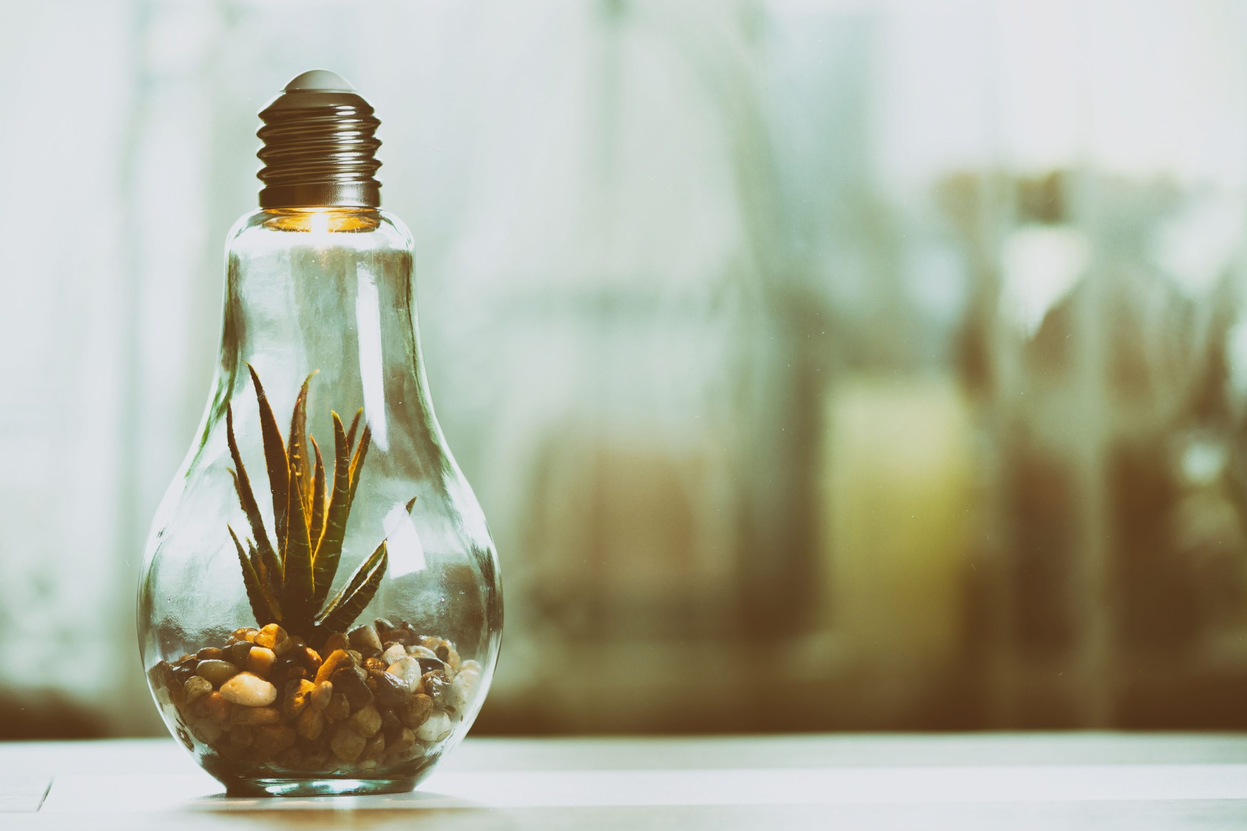 Green Ethics